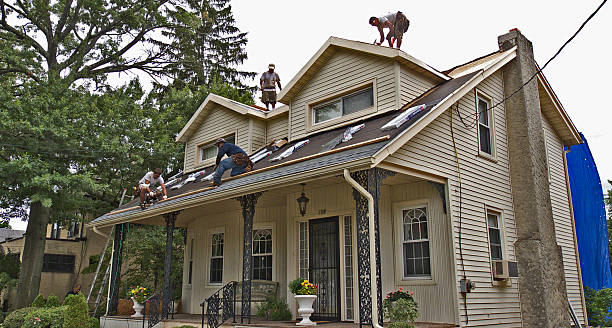 Best Metal Roofing Contractor  in Leland, NC