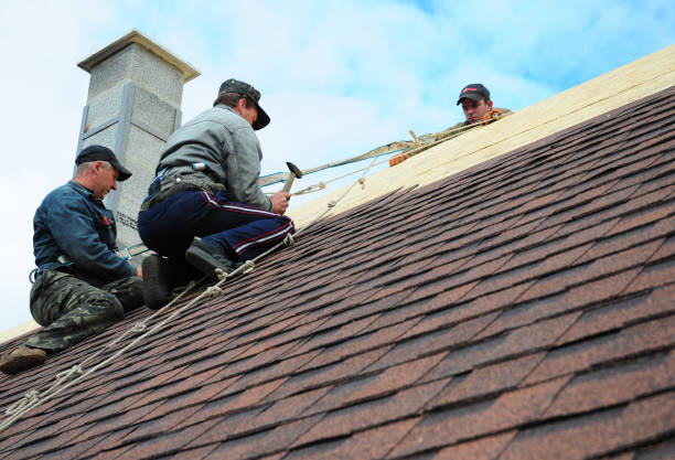 Best Roof Repair Services  in Leland, NC